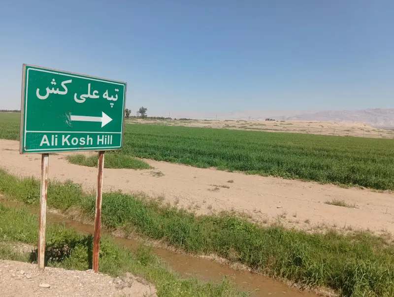 تپه علی کش - تصویر 1