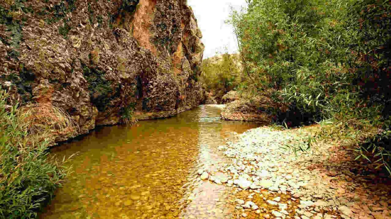تنگه کوفی - تصویر 4