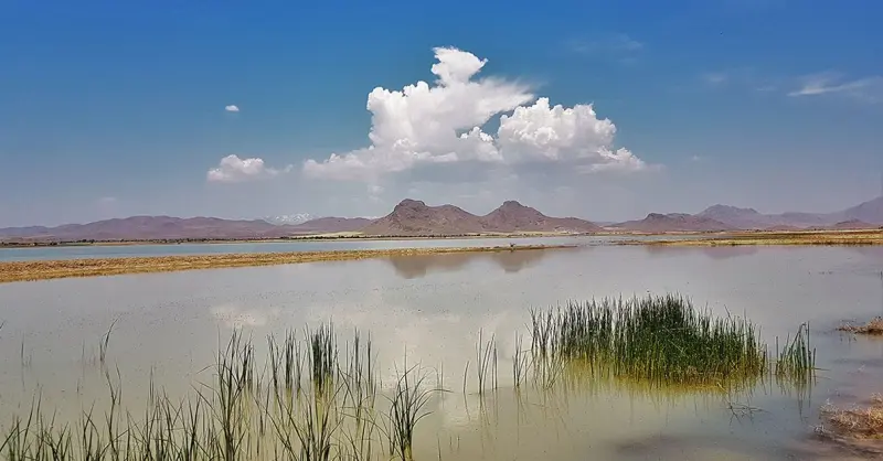 تالاب آق گل - تصویر 5