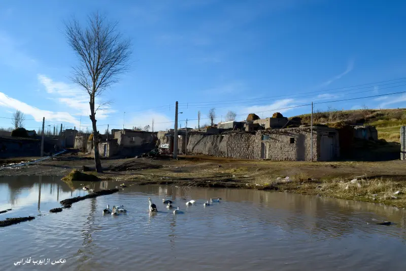 روستای یونجالو - تصویر 1