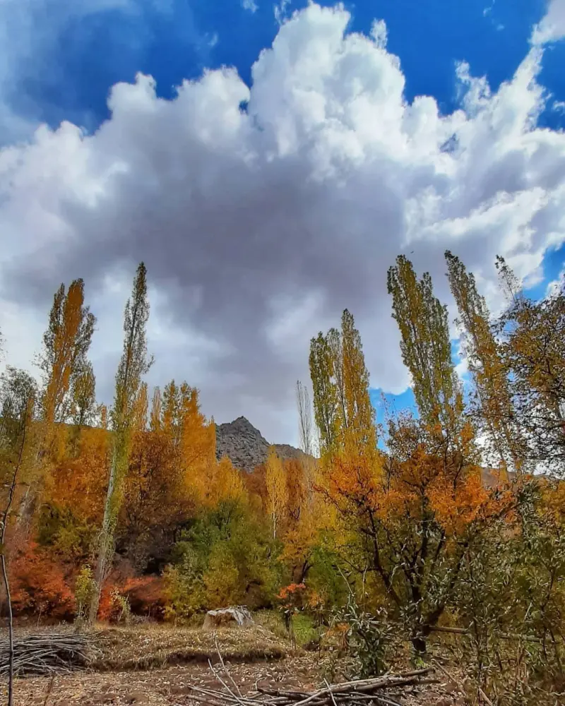 روستای پراچان - تصویر 4