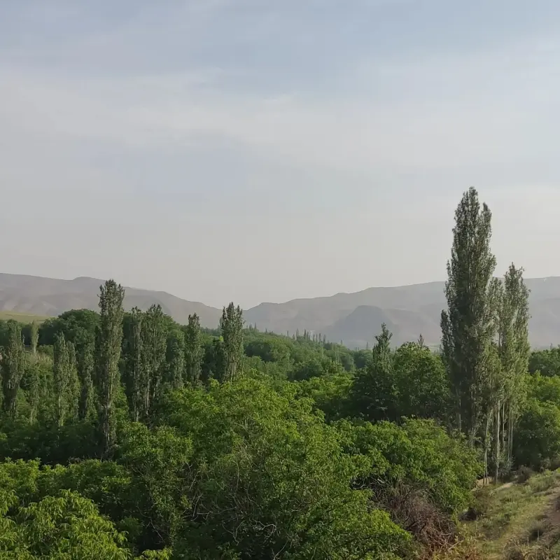 روستای گریوان - تصویر 2