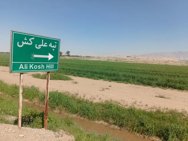 تپه علی کش - تصویر 1