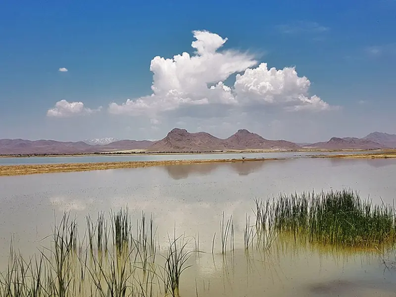 تالاب آق گل - تصویر 5