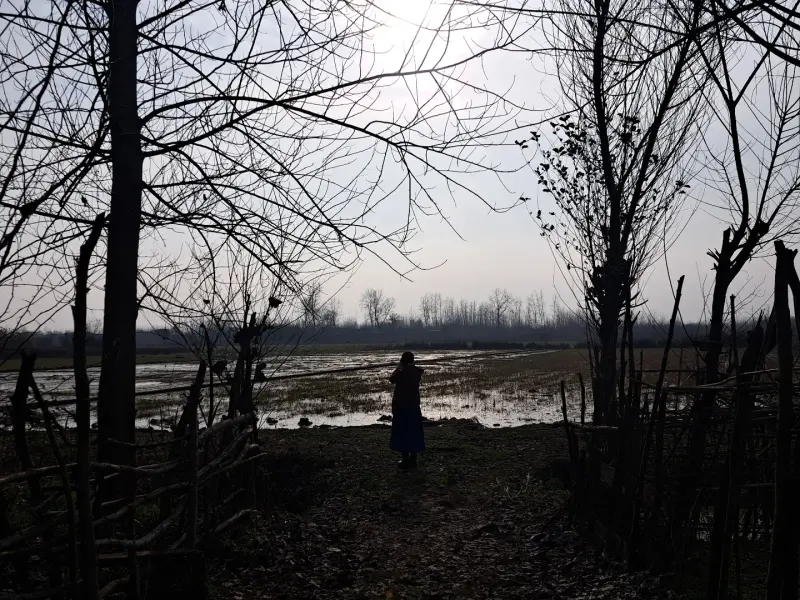 روستای گالشکلام - تصویر 1