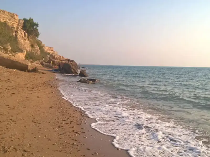 ساحل بندر دیلم - تصویر 2