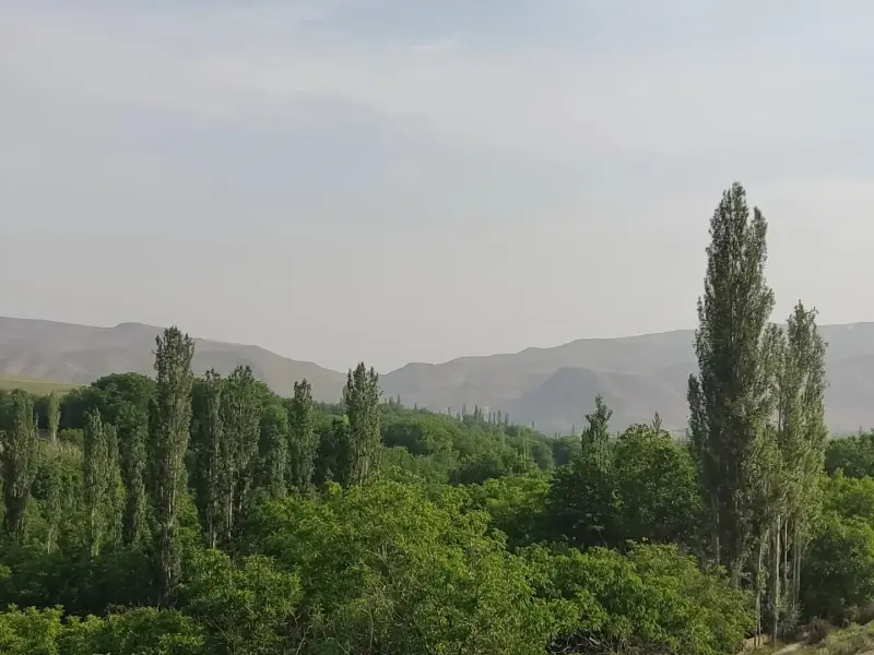 روستای گریوان - تصویر 2