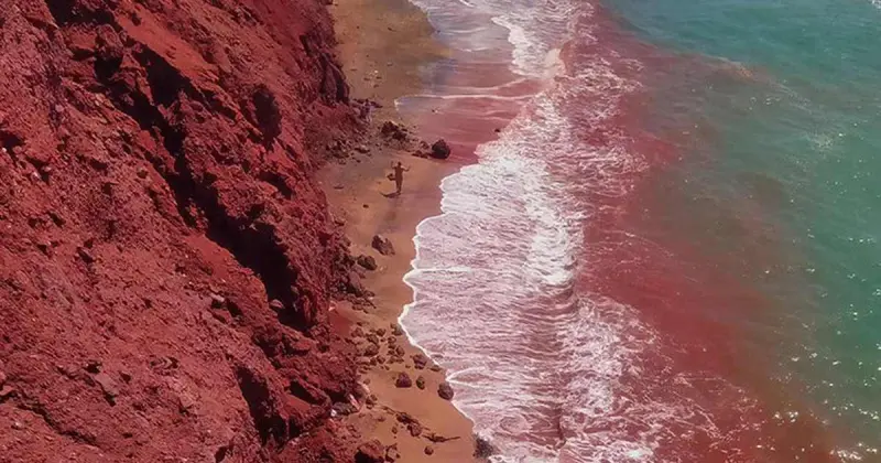 ساحل سرخ - تصویر 2