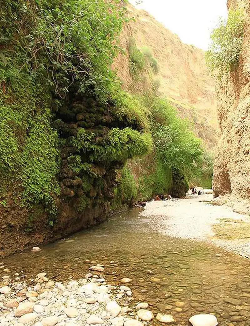 دره انار گتوند - تصویر 7