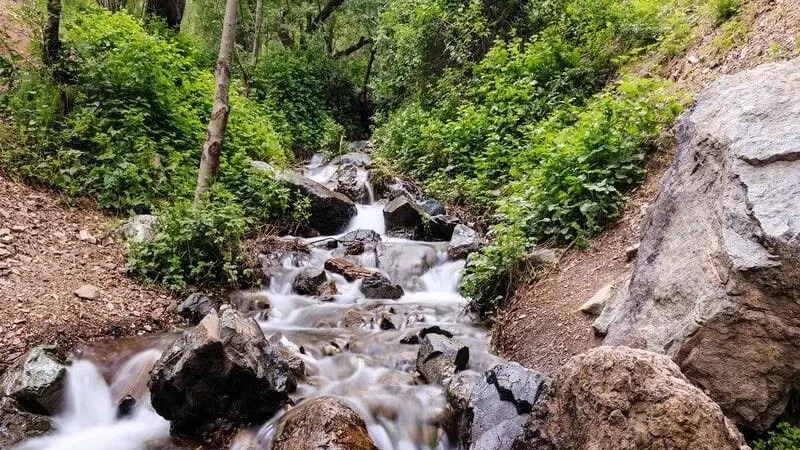 دره دارآباد - تصویر 2