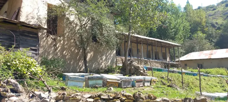 روستای شیخ موسی - تصویر 2