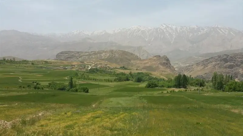 کوه میلی - تصویر 4