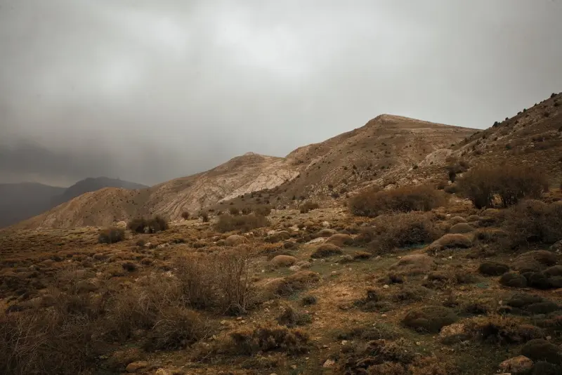 پارک ملی سالوک - تصویر 4