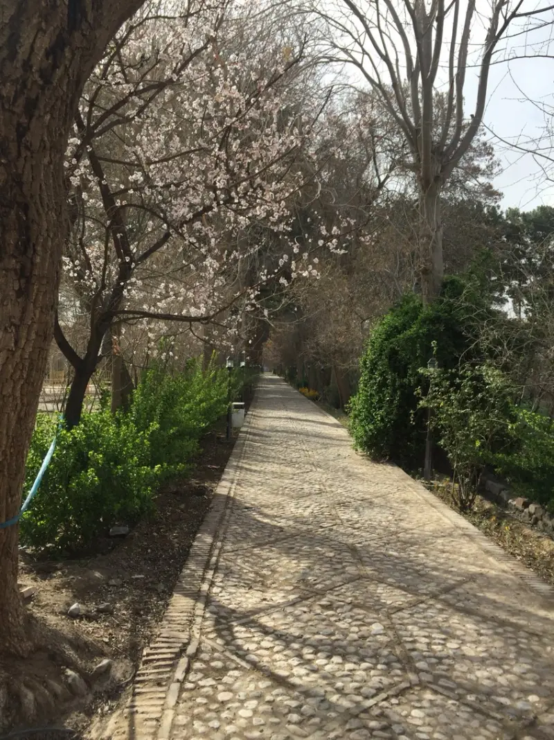 باغ شوکت آباد - تصویر 11