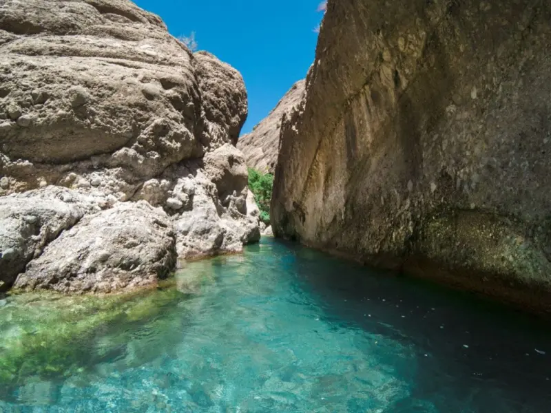 دره آکواریوم - تصویر 2