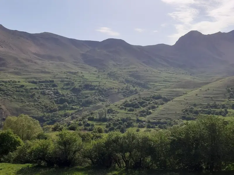 دشت آزو - تصویر 3