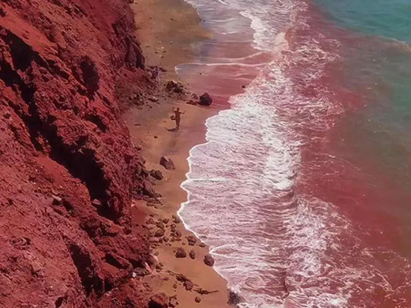 ساحل سرخ - تصویر 2