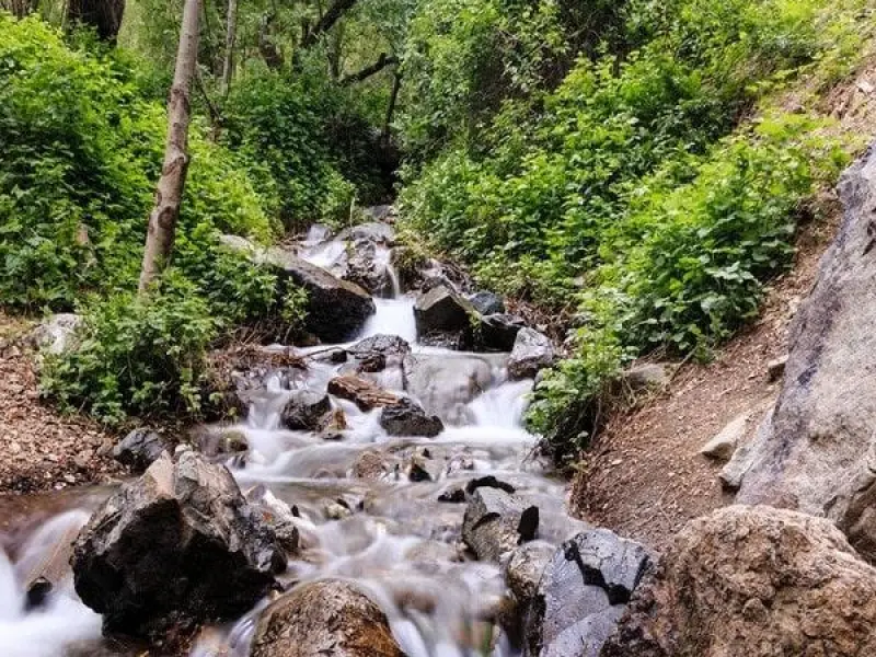 دره دارآباد - تصویر 2