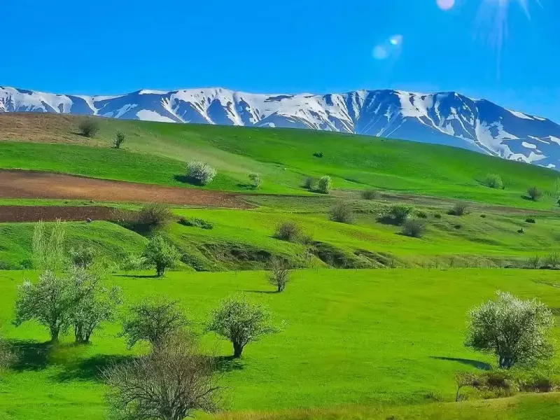 دهستان ترگور