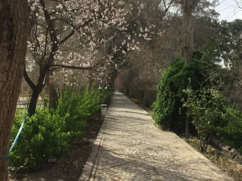 باغ شوکت آباد - تصویر 11
