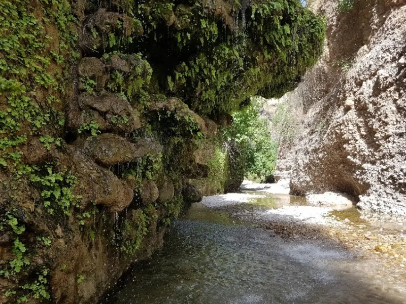 دره پل‌پرزین - تصویر 2