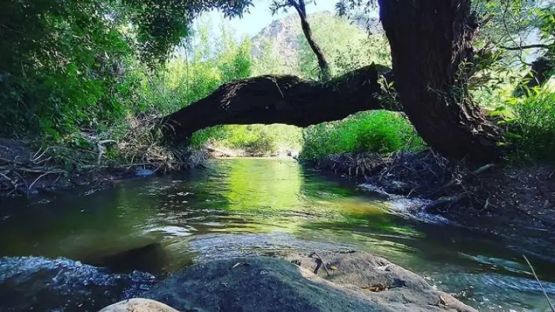 دره‌ قاسملو - تصویر 3