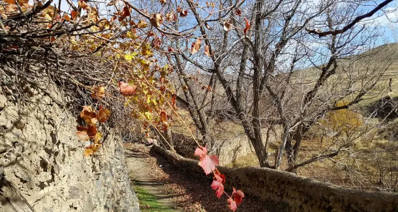 روستای طایمه - تصویر 5