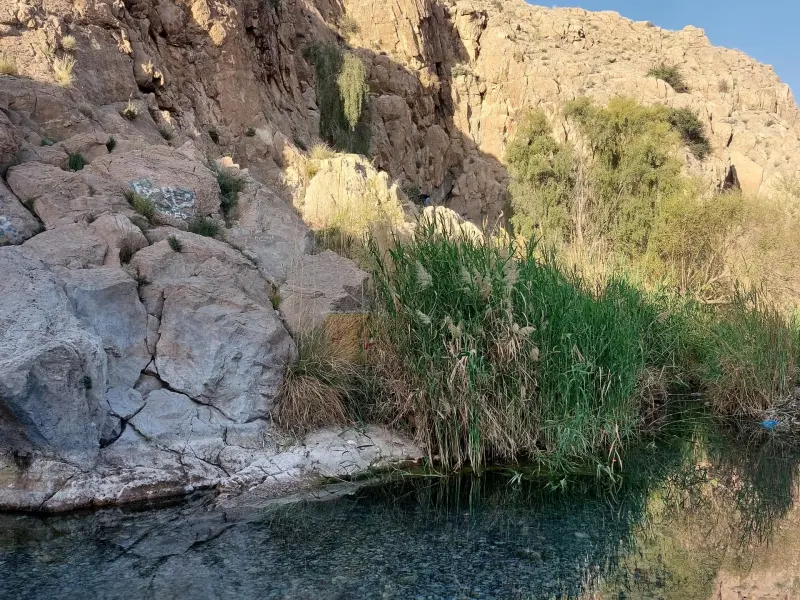 چشمه گلابی - تصویر 3