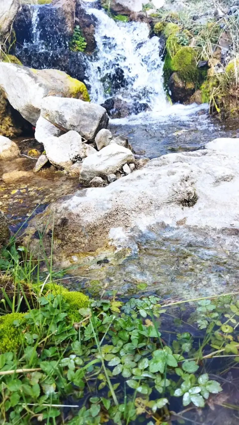 دهبکری - تصویر 4