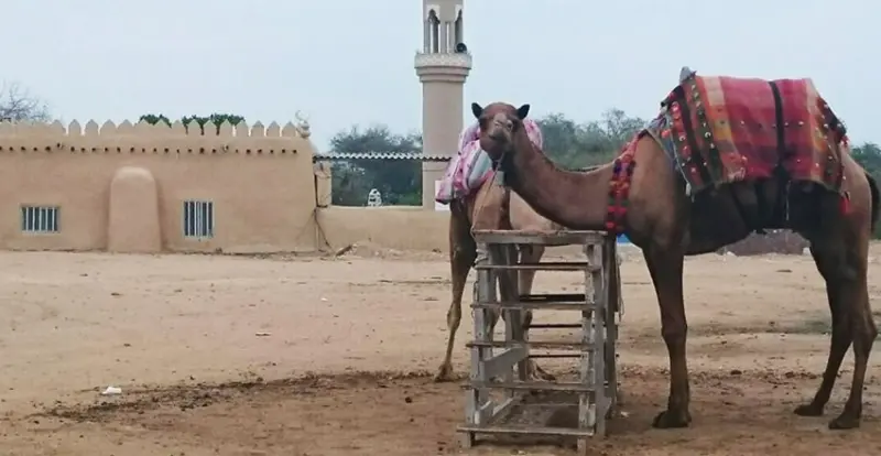 روستای باغو - تصویر 5