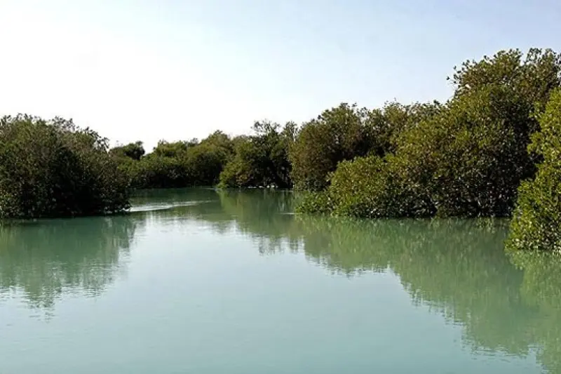 تالاب آذینی - تصویر 4