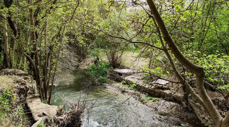 روستای سفید برگ - تصویر 4
