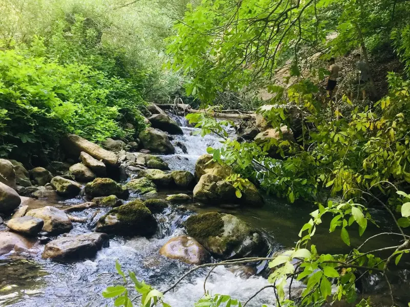 دره خدرآوی