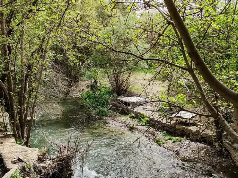 روستای سفید برگ - تصویر 4