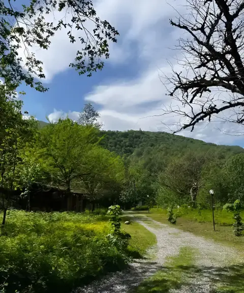 پارک جنگلی چالدره، مازندران