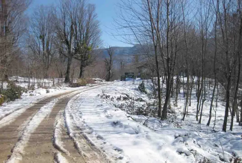 روستای مهدیرجه - تصویر 5