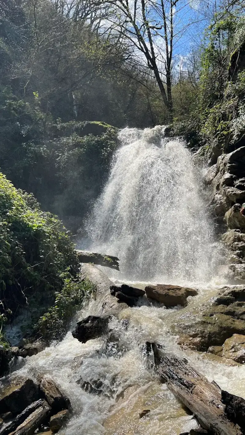 آبشار چلم زرین گل - تصویر 1