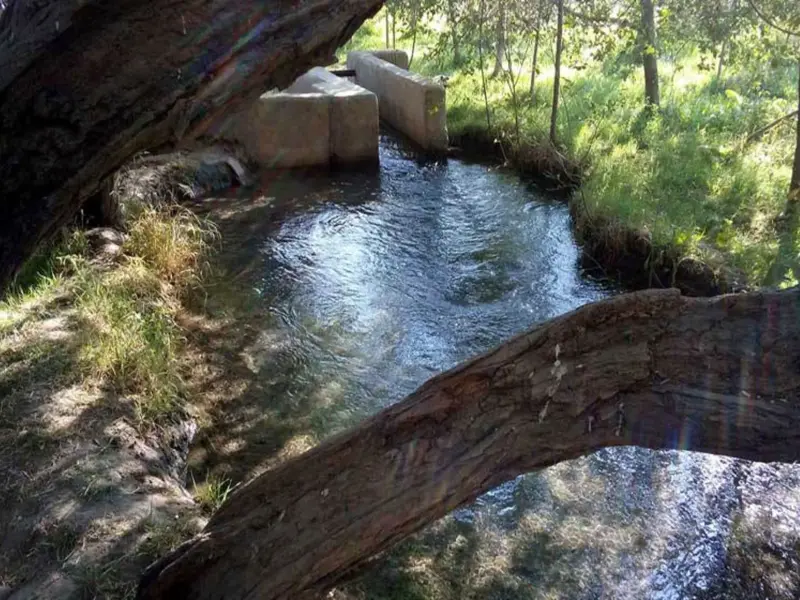 چشمه گیلاس - تصویر 1