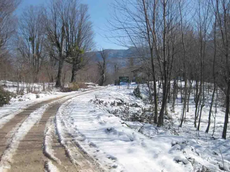 روستای مهدیرجه - تصویر 5