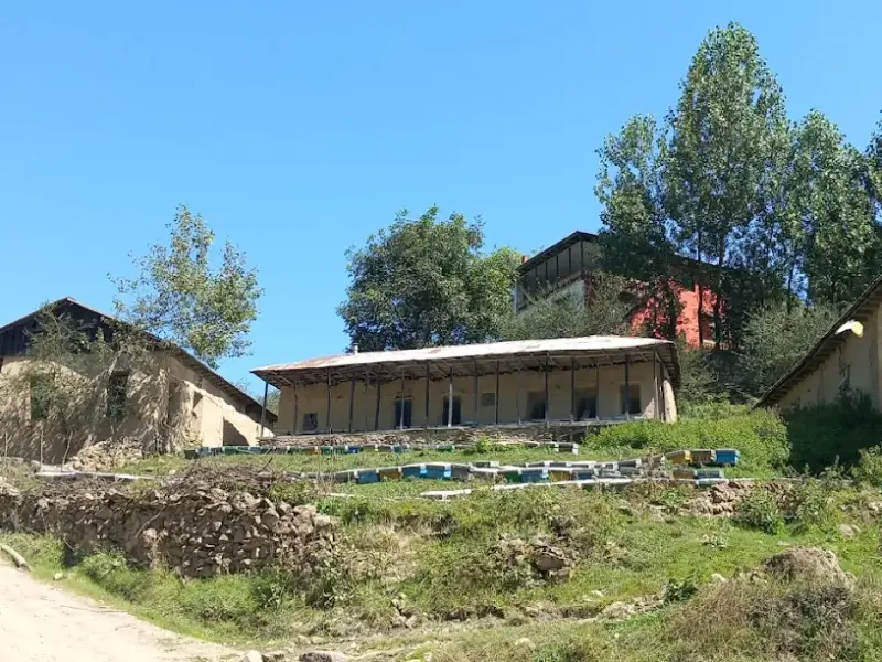 روستای شیخ موسی - تصویر 3