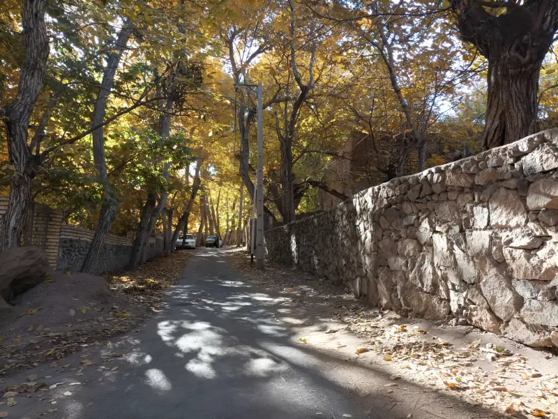 روستای طامه - تصویر 1