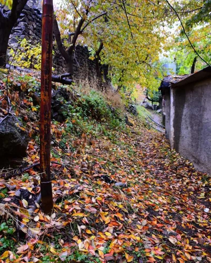 روستای تالون - تصویر 5