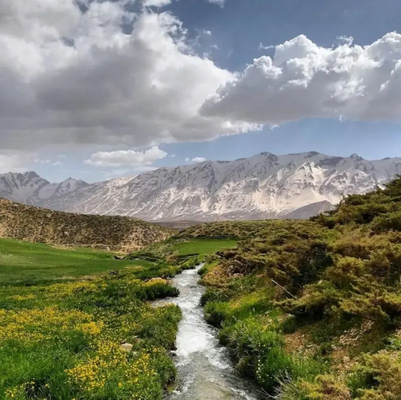 کوه زردکوه - تصویر 1