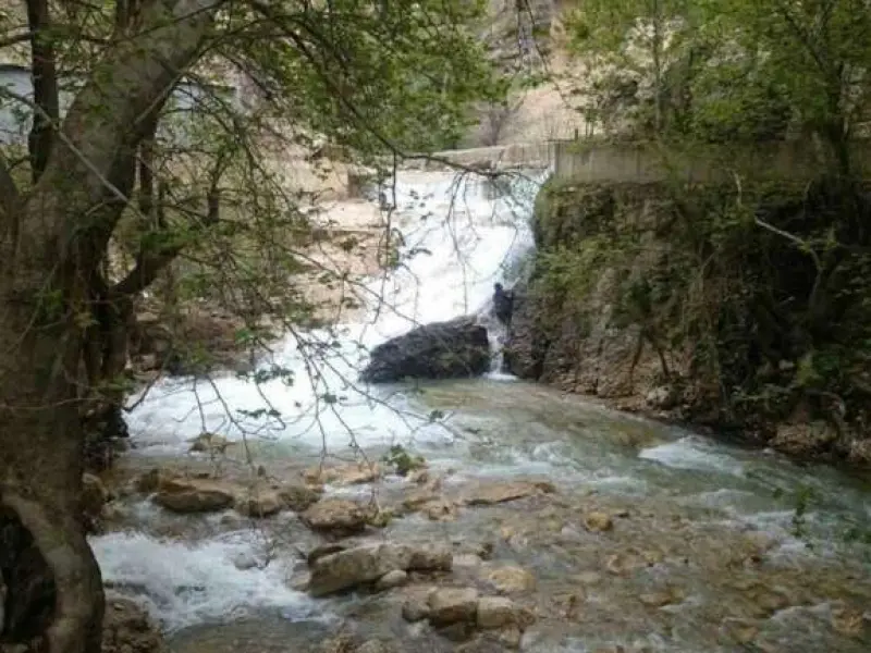 پارک جنگلی پروز - تصویر 5