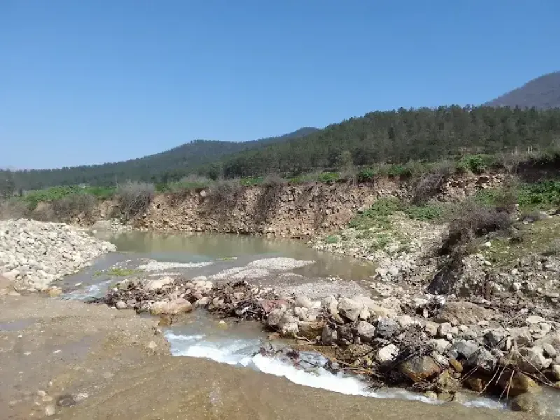 چشمه نیلبرگ