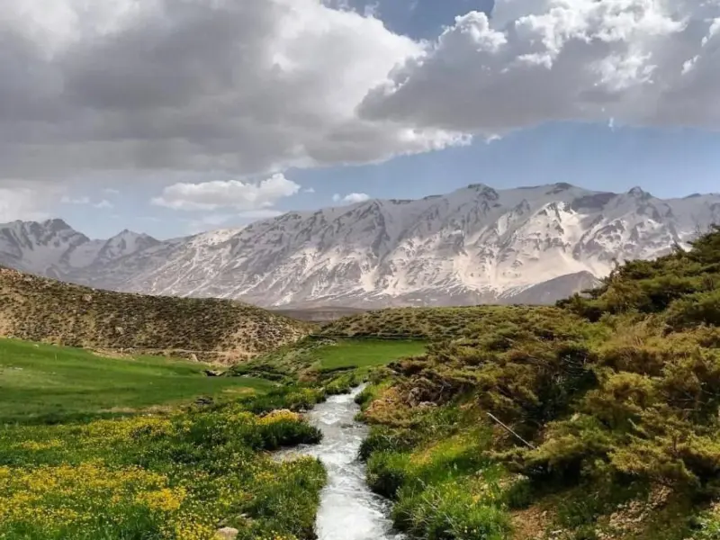 کوه زردکوه - تصویر 1