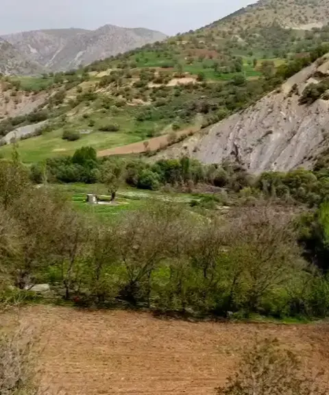 روستای سفید برگ، کرمانشاه