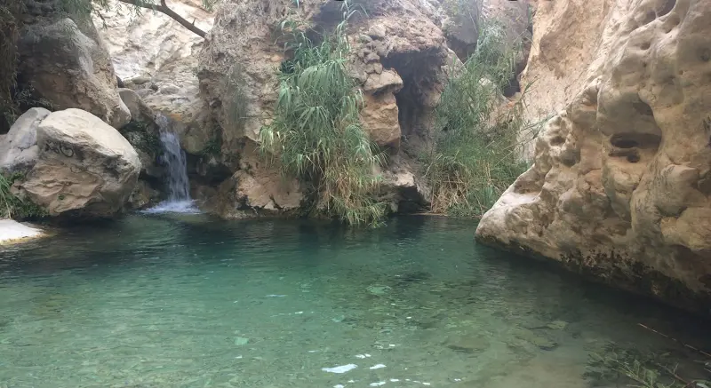 دره آکواریوم - تصویر 5