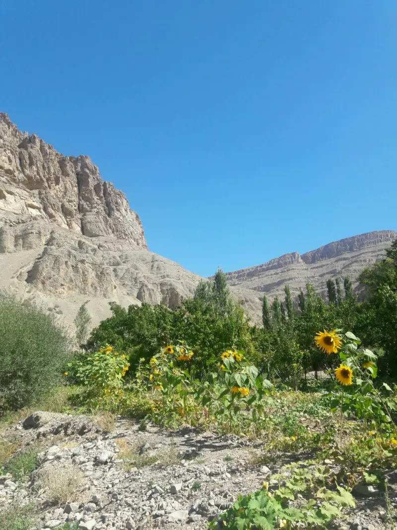 دره آبقد - تصویر 13