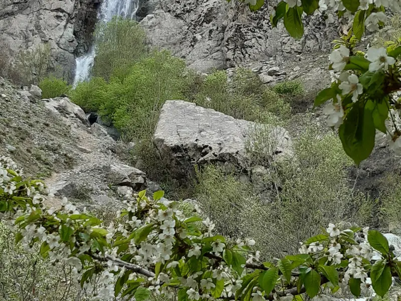 آبشار باغگل - تصویر 6